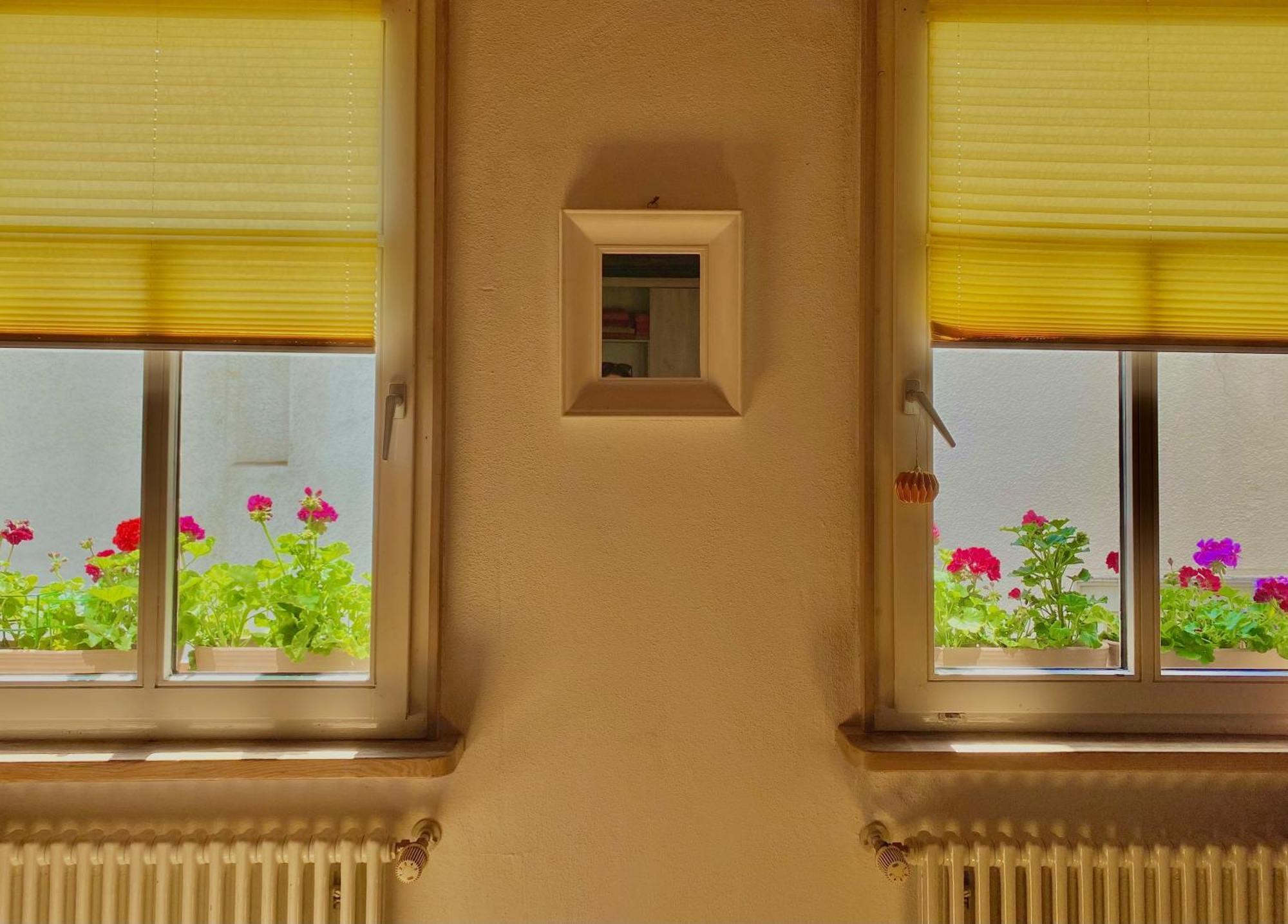 Inselgasse Appartement Konstanz Buitenkant foto